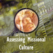 E014883-assessingculture.jpg