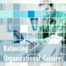 AA050024-MR1-4C-Organizatio.jpg